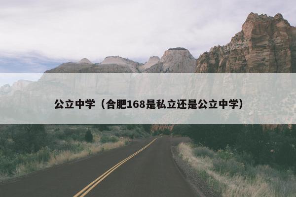 公立中学（合肥168是私立还是公立中学）