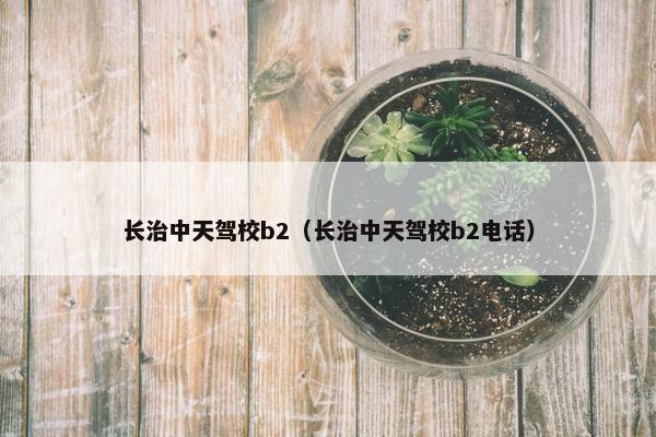 长治中天驾校b2（长治中天驾校b2电话）