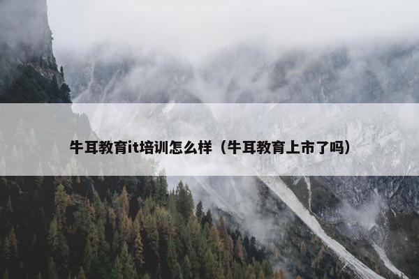 牛耳教育it培训怎么样（牛耳教育上市了吗）