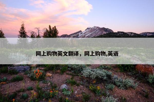 网上购物英文翻译，网上购物,英语