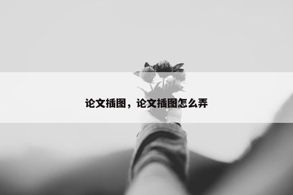 论文插图，论文插图怎么弄