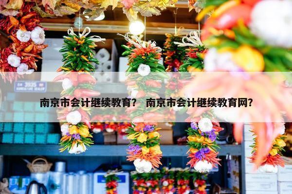 南京市会计继续教育？ 南京市会计继续教育网？