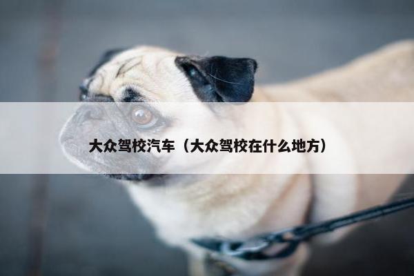 大众驾校汽车（大众驾校在什么地方）