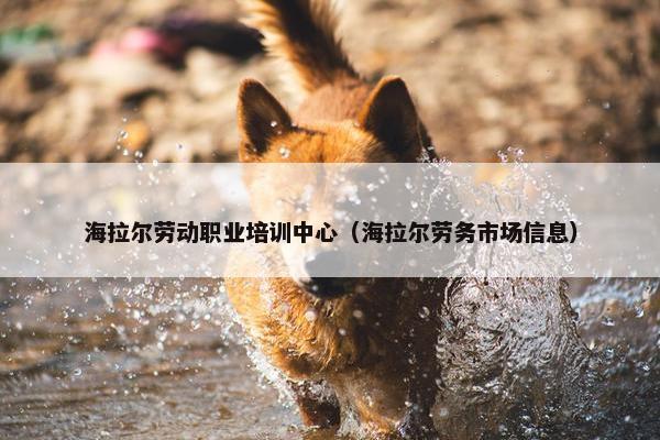 海拉尔劳动职业培训中心（海拉尔劳务市场信息）
