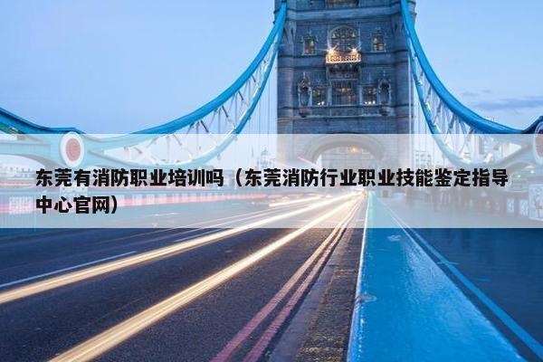 东莞有消防职业培训吗（东莞消防行业职业技能鉴定指导中心官网）