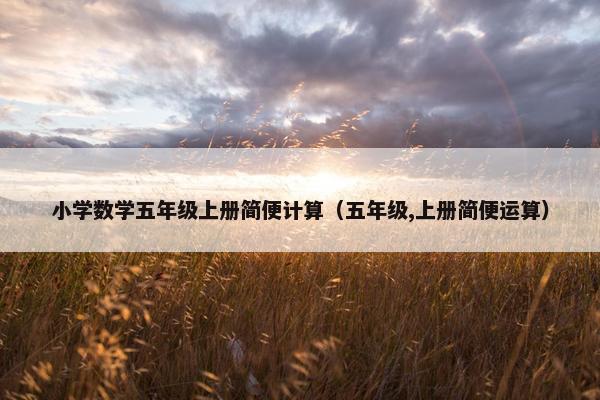 小学数学五年级上册简便计算（五年级,上册简便运算）