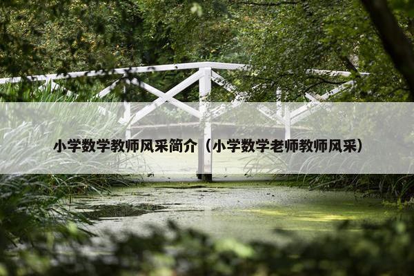 小学数学教师风采简介（小学数学老师教师风采）