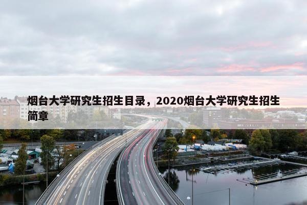 烟台大学研究生招生目录，2020烟台大学研究生招生简章