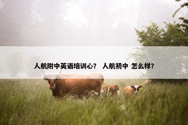 人航附中英语培训心？ 人航初中 怎么样？