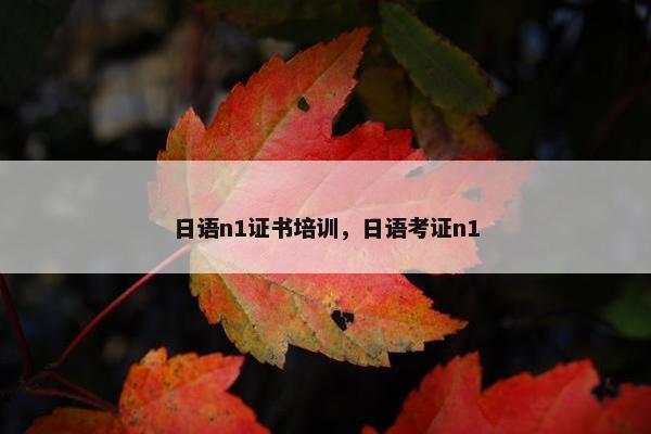 日语n1证书培训，日语考证n1