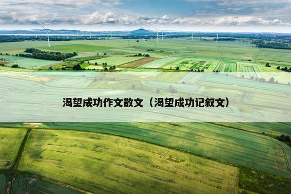 渴望成功作文散文（渴望成功记叙文）