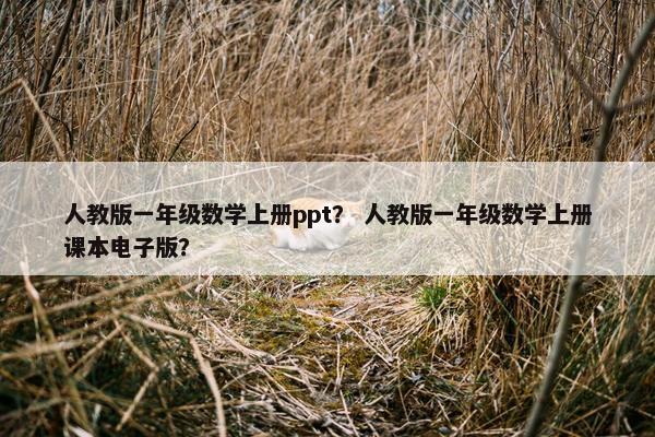 人教版一年级数学上册ppt？ 人教版一年级数学上册课本电子版？
