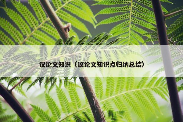 议论文知识（议论文知识点归纳总结）