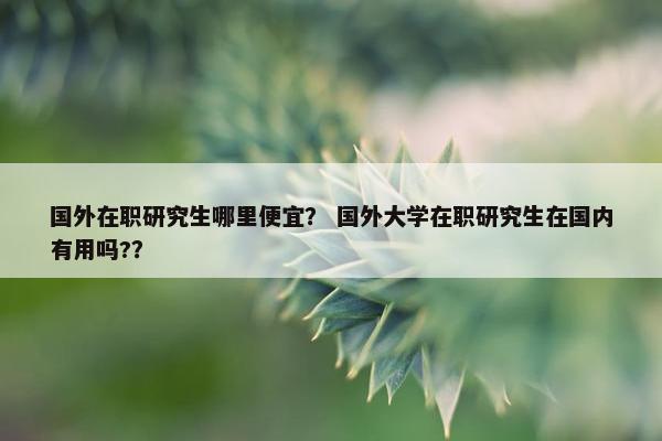 国外在职研究生哪里便宜？ 国外大学在职研究生在国内有用吗?？