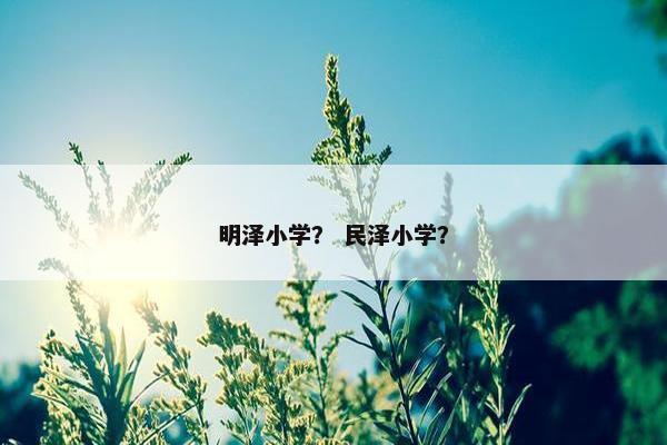 明泽小学？ 民泽小学？