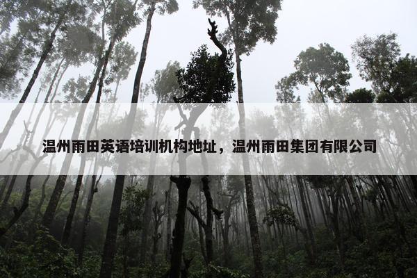 温州雨田英语培训机构地址，温州雨田集团有限公司