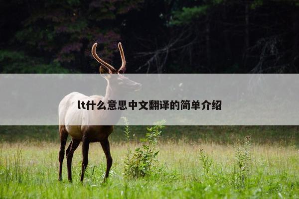 lt什么意思中文翻译的简单介绍