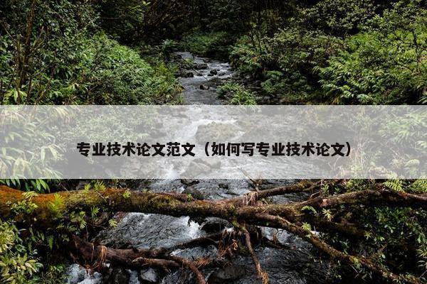 专业技术论文范文（如何写专业技术论文）