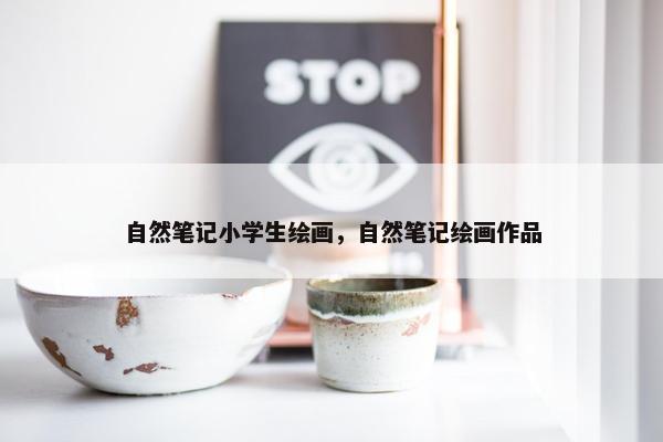 自然笔记小学生绘画，自然笔记绘画作品