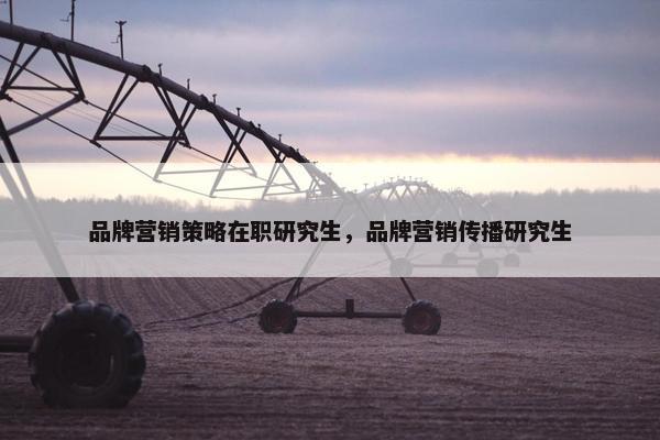 品牌营销策略在职研究生，品牌营销传播研究生