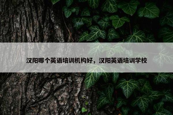 汉阳哪个英语培训机构好，汉阳英语培训学校