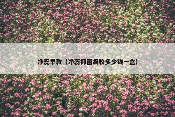 净蕊早教（净蕊抑菌凝胶多少钱一盒）