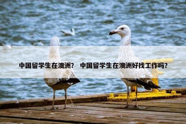 中国留学生在澳洲？ 中国留学生在澳洲好找工作吗？