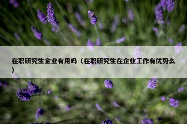 在职研究生企业有用吗（在职研究生在企业工作有优势么）
