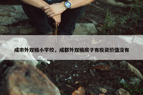成市外双楠小学校，成都外双楠房子有投资价值没有