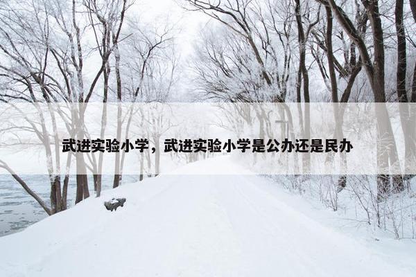 武进实验小学，武进实验小学是公办还是民办