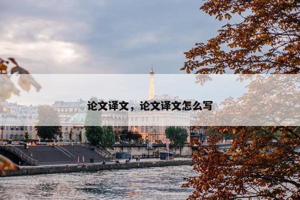 论文译文，论文译文怎么写