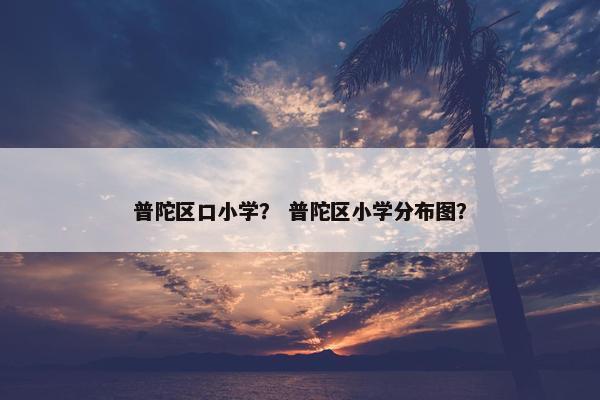 普陀区口小学？ 普陀区小学分布图？