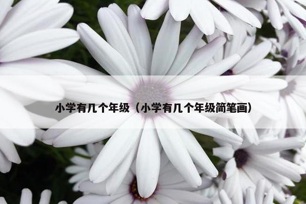 小学有几个年级（小学有几个年级简笔画）