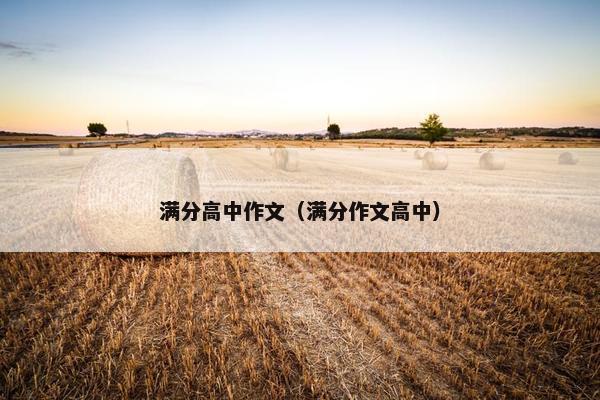 满分高中作文（满分作文高中）