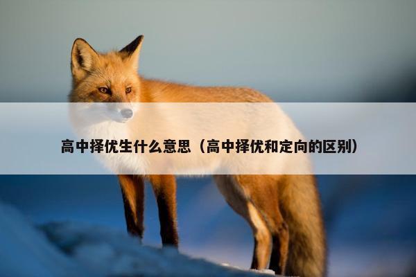 高中择优生什么意思（高中择优和定向的区别）