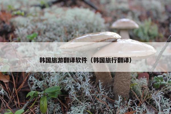 韩国旅游翻译软件（韩国旅行翻译）