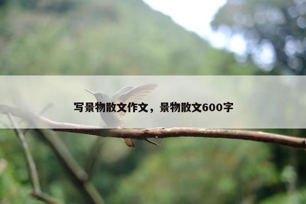 写景物散文作文，景物散文600字