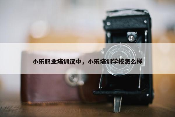 小乐职业培训汉中，小乐培训学校怎么样