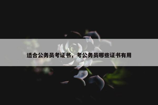 适合公务员考证书，考公务员哪些证书有用