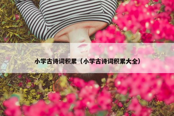 小学古诗词积累（小学古诗词积累大全）