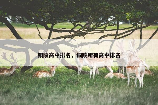 铜陵高中排名，铜陵所有高中排名