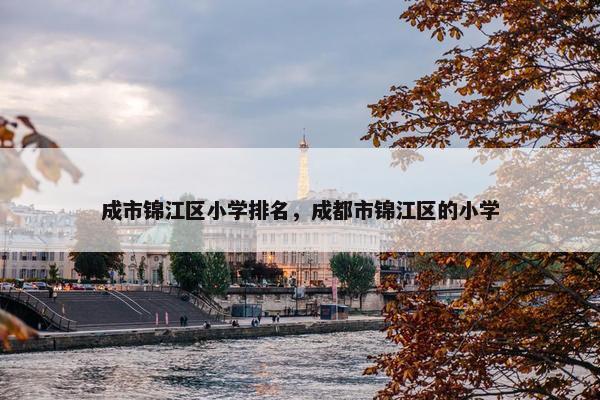 成市锦江区小学排名，成都市锦江区的小学