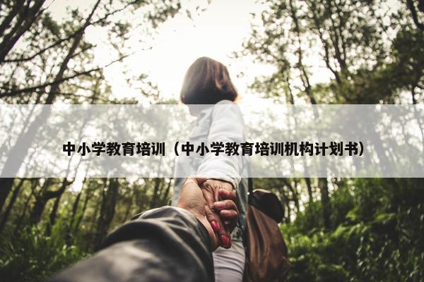 中小学教育培训（中小学教育培训机构计划书）