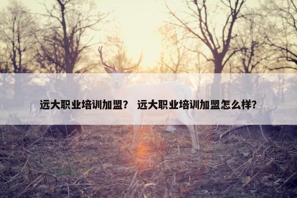 远大职业培训加盟？ 远大职业培训加盟怎么样？