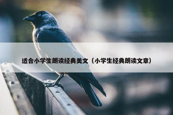 适合小学生朗读经典美文（小学生经典朗读文章）