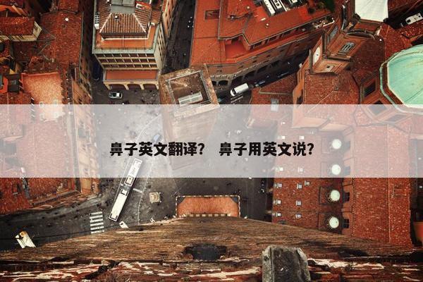 鼻子英文翻译？ 鼻子用英文说？