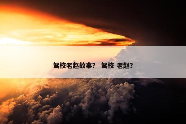 驾校老赵故事？ 驾校 老赵？