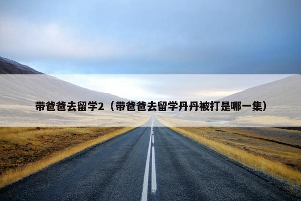 带爸爸去留学2（带爸爸去留学丹丹被打是哪一集）