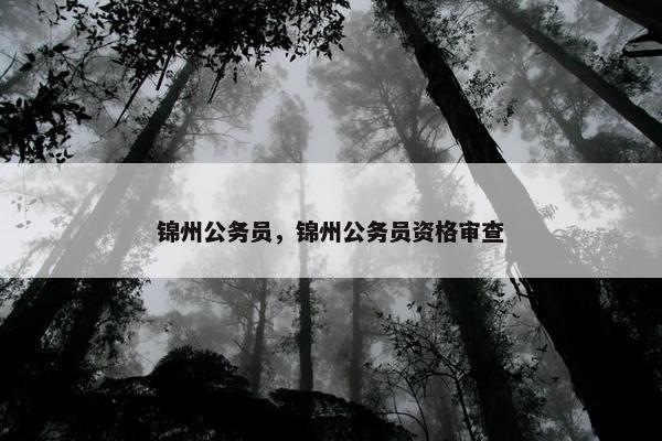 锦州公务员，锦州公务员资格审查