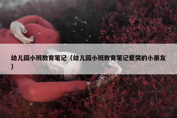 幼儿园小班教育笔记（幼儿园小班教育笔记爱哭的小朋友）